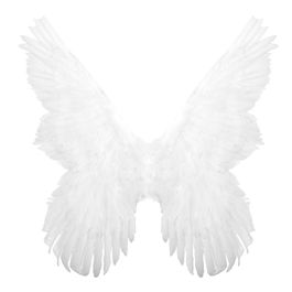 Asa De Fada Branca Adulto