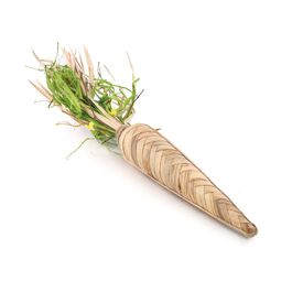 Cenoura Decorativa em Espuma e Grama cor Bege G 50cm x 8cm (Cenouras)