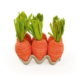 Cartela Ovos C/6 Cenouras Laranja e verde em Isopor e Papel (Cenouras)