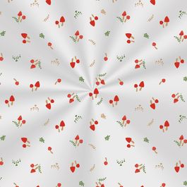 Saco Transparente Cogumelos