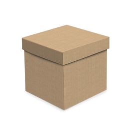 Caixa Cubo Kraft Pardo