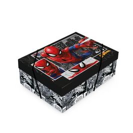 Caixa Retangular Com Tampa Spider Man Quadrinhos Colorido