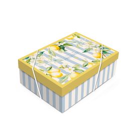 Caixa Ret Com Tampa Sicilia