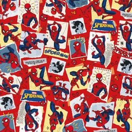 Folha Licenciada Sketch Spider