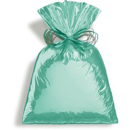 Saco para Presente Metal Liso Neo Mint