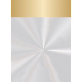 Saco Para Garrafa Liso Ouro