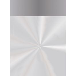 Saco Para Garrafa Liso Prata