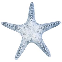 Decorativo Estrela Mar Resina Azul