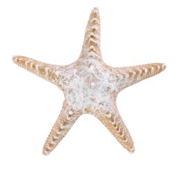 Decorativo Estrela Mar Resina Natural