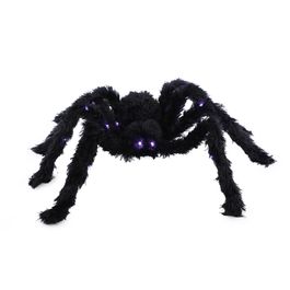 Aranha Cobalt