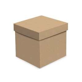 Caixa Cubo Kraft Pardo