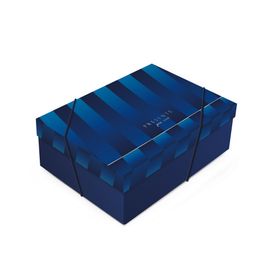 Caixa Retangular Com Tampa Benicio Azul