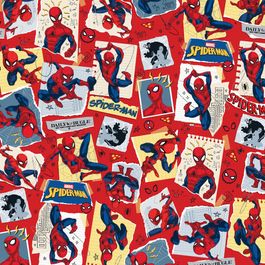 Saco Para Presente Metal Sketch Spider