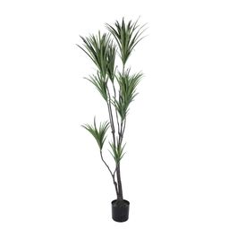 Dracena Marginata Toque Real X282 180cm - Verde