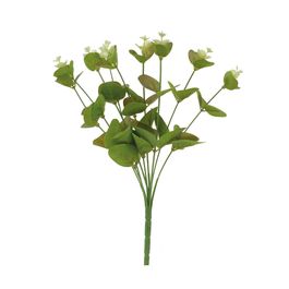 Buque Eucalipto 32cm - Verde