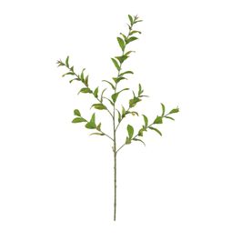 Haste Eucalipto 80cm - Verde Outono