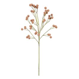 Galho Sementes X1 60cm - Ocre