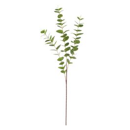 Haste Eucalipto 80cm - Verde