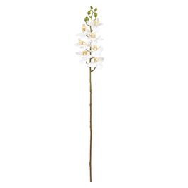 Flores Orquídea X7 63cm - Branco