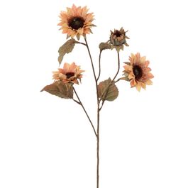 Haste Girassol Rosa Velho/Castanho 68,5cm