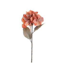 Haste Hortensia Laranja Escuro/Castanho 49cm