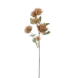 Haste Protea  Bronze/Castanho 81cm