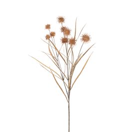 Haste Protea Pessego/Castanho 86cm