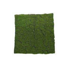 Musgo Decorativo Tapete Verde Musgo 100X100cm