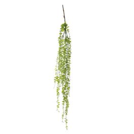 Pendente  Eucalipto Gunnii Verde Oliva 110cm