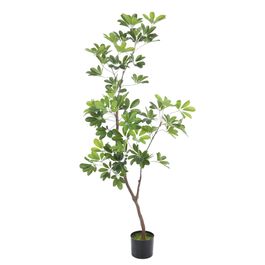 Árvore Schefflera Verde Cítrico 149cm