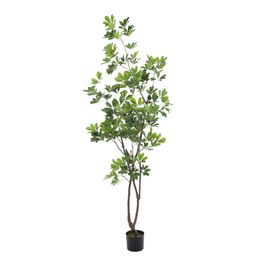 Árvore Schefflera Verde Cítrico 213cm