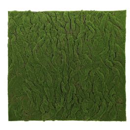 Musgo Decorativo Tapete Verde Musgo 100X100cm