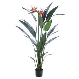 Árvore Strelitzia  Verde Escuro 135cm