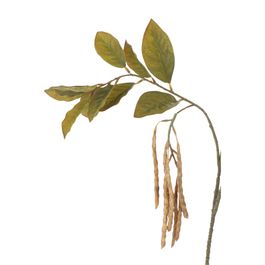 Haste Sementes E Folhagens Castanho/Marrom 102cm