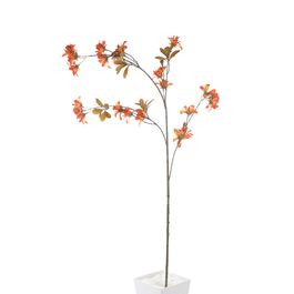 Haste Azaleia Laranja Escuro/Castanho 118cm