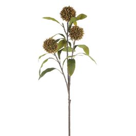 Haste Protea Verde Oliva/Castanho 105cm
