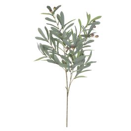 Haste Oliveira Verde Claro 101cm