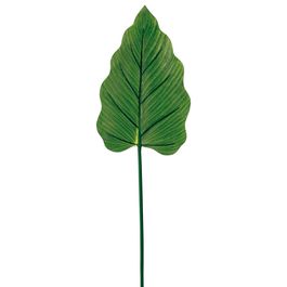 Haste Alocasia Verde Oliva 73,5cm