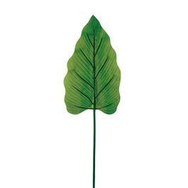 Haste Alocasia Verde Oliva 83,5cm