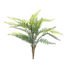 Buque Samambaia Paulistinha Verde 60cm