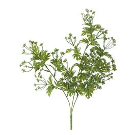 Buque Salsa Verde Cítrico 46,5cm
