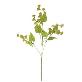 Haste Mamona Verde Oliva/Verde Citrico 91cm