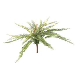 Buque Samambaia Paulistinha Verde Cítrico 41cm