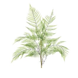 Buque Samambaia Renda Portuguesa Verde Cítrico 79,5cm