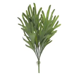 Buquê Chifre-De-Veado Verde Claro 42cm